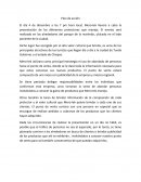 Ejemplo de plan de accion