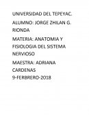 ANATOMIA Y FISIOLOGIA DEL SISTEMA NERVIOSO