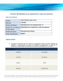 Modalidades de la organización y tipos de empresas