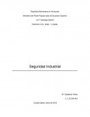 Antecedentes de la higiene y seguridad industrial en el mundo y en Venezuela.