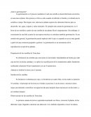 Semilla de Testa dura