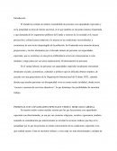 MERCADO LABORAL PARA PERSONAS CON DISCAPACIDADES EN GUATEMALA