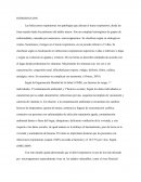 Las Infecciones respiratorias son patologías que afectan el tracto respiratorio