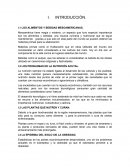 Alimentos y bebidas mesoamericanas