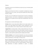 Creacion empresa de contabilidad