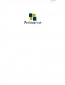 GESTION DE COMPETENCIAS GRUPO PEÑARROYA