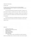 SESIÓN EDUCACIÓN FÍSICA