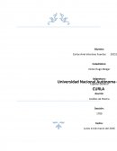 Analisis del Poema los libros son mis amigos