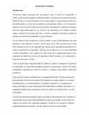 Inseguridad Ciudadana ensayo