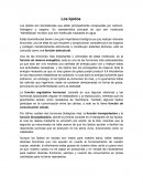 Los lípidos actividad de aplicacion