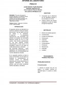 Informe practica de laboratorio