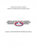 MANUAL DE PRÁCTICAS DE LA MATERIA LEGISLACIÓN LABORAL DE LA CARRERA DE INGENIERÍA EN GESTIÓN EMPRESARIAL