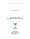 INFORME: MALEZAS EN EL CULTIVO DEL ÑAME