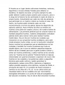 El Huerto es un lugar donde cultivamos hortalizas, verduras, legumbres o incluso árboles frutales