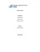 Derecho sector público y privado