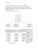 Estructura de la organización de la empresa; áreas funcionales y organigrama