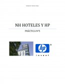 Organigrama NH HOTELES Y HP