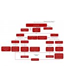 Cuadro sinóptico La Eutanasia