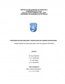 Procesos de Exploración y Producción en Campos Petroleros