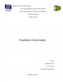 Enseñanza estructurada