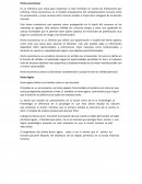 Homo economicus. Homo Agens