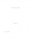 Bochitos en la niebla