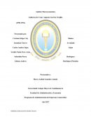 Programa de Administración de Empresas Comerciales