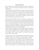 Equidad de genero ensayo