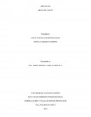 PROYECTO AREQUIPE SWEET