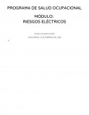 EXPLIQUE BREVEMENTE CADA UNO DE LOS FACTORES QUE INFLUYEN EN EL RIESGO DE ELECTROCUCIÓN