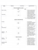 ÍNDICES DE COBERTURA, LIQUIDEZ