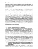 Ecologismo El valor de la naturaleza