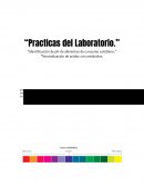 “Practicas del Laboratorio.” “Identificación de pH de alimentos de consumo cotidiano.”