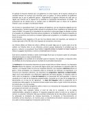 CAPITULO 11 PROCESO ECONOMICO 2