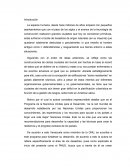 Ensayo de urbanistica