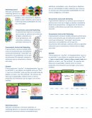 Marketing lateral. Pensamiento Lateral del Marketing