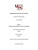 Ensayo: “Energía y medio ambiente. Un futuro sustentable”