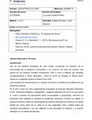 Actividad: Análisis de Caso, Tumin. Solucion