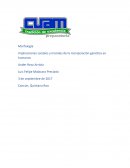 Como se da la Modificacion geneica