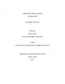 ¿Los animales tienen procesos Psicológicos Superiores?