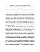 Crítica Métodos de Valoración Ambiental