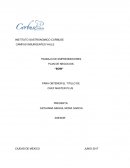 PLAN DE NEGOCIOS. “BOW”