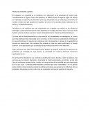 Como se dan las Moléculas cerebrales y apetito