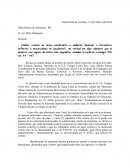 El nuevo Proyecto de un gruta