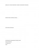 MODELOS DE ESTADOS FINANCIEROS Y RAZONES O INDICADORES FINANCIEROS