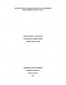 Adecuación de la cancha de futbol de la Universidad Surcolombiana, Sede la Plata