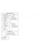 Convenio 95 Elementos Del Sistema