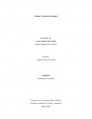 Trabajo 1: Sistema Locomotor