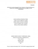 PROPUESTA DE MEJORAMJIENTO EN EL ÁREA DE ATENCION SERVICIO AL CLIENTE