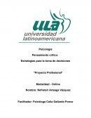 Estrategias para la toma de decisiones *Proyecto Profesional*